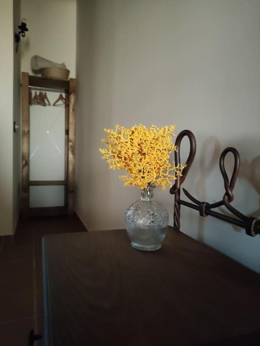 La Casa De La Abuela Amalia Apartment Arenas de San Pedro Ngoại thất bức ảnh